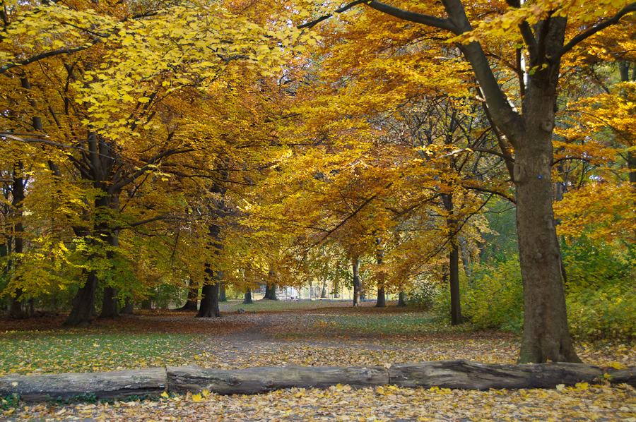 Berlin, im Herbst...