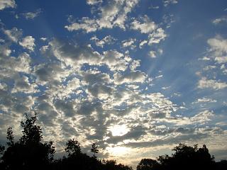 Impression am Morgen