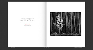 Ansel Adams