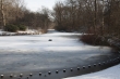 Berlin Tiergarten
