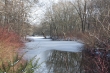 Berlin Tiergarten