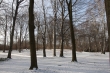 Berlin Tiergarten