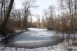 Berlin Tiergarten