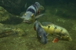 Aquarium Berlin