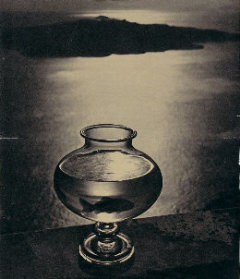 Fisch im Glas
