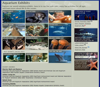 Montery Bay Aquarium